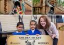 Darlington MP Lola McEvoy launched the Golden Ticket scheme on Friday, which will see every primary school pupil in the town receive a free ticket to visit Wagon Woods playpark at Hopetown in the summer holidays