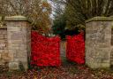 Showcased at St Michael's Church in Heighington, the display consists of around 18,000 hand-knitted poppies, intricately made by members of Heighington Woman’s Institute (WI). 