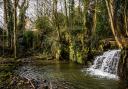 Whorlton Beck