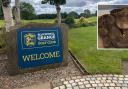 The snake was 'bigger than the last', Aaron Cox said.