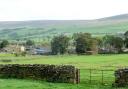 Carlton Village