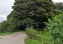 Errington Woods