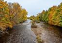 The River Wear near Witton-le-Wear