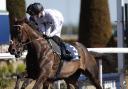 Constitution Hill could be heading to Italy (Steven Paston/PA)