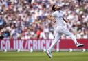 Mark Wood celebrates after taking a wicket with England