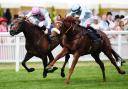 Giavellotto has a great record in Hong Kong (John Walton/PA)