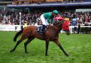 Daryz and Mickael Barzalona (John Walton/PA)