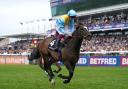 Rumstar in action at Newmarket (Joe Giddens/PA)