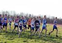 Leaders 334 Max Pearson (Tynedale) eventual winner, 312 Reece Curtis (New Marske) 3rd, 296 Josh Cowperthwaite (Middlesbrough AC (Mandale)) 2nd and 305 Taylor Glover (Morpeth Harriers) soon after the start of the boys under-15s North Eastern Cross Country