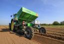 Take time and care ahead of potato planting