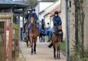 Stable staff at Kremlin House Stables, Newmarket.  Picture: Joe Giddens/PA Wire
