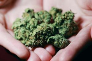 Custody was a 'kick up the backside' for Teesside cannabis dealer