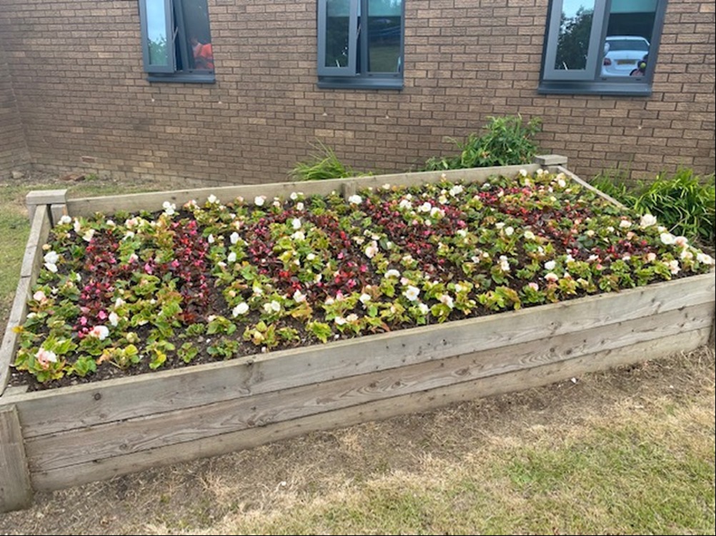 Raised flower beds were planted up to spell ‘hope’ at Pathways Hubs across Countu Durham