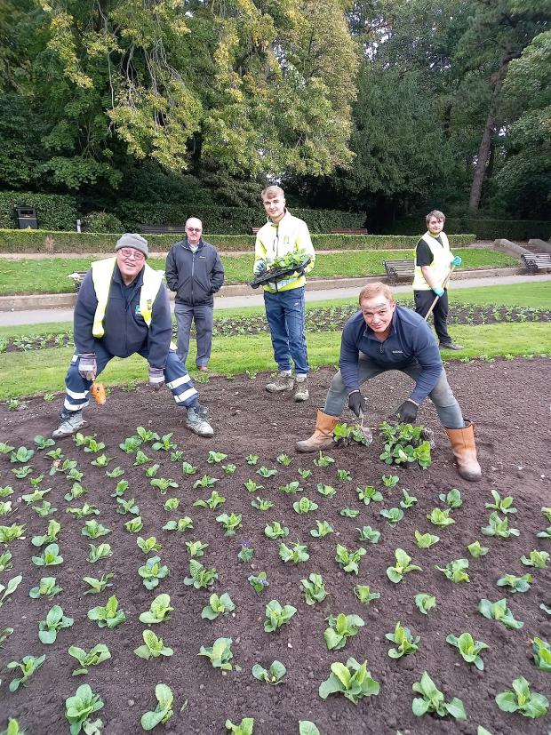 The Northern Echo: Horticulture staff from Hartlepool Borough Council Environmental Services tend to flower beds in Ward Jackson Park.