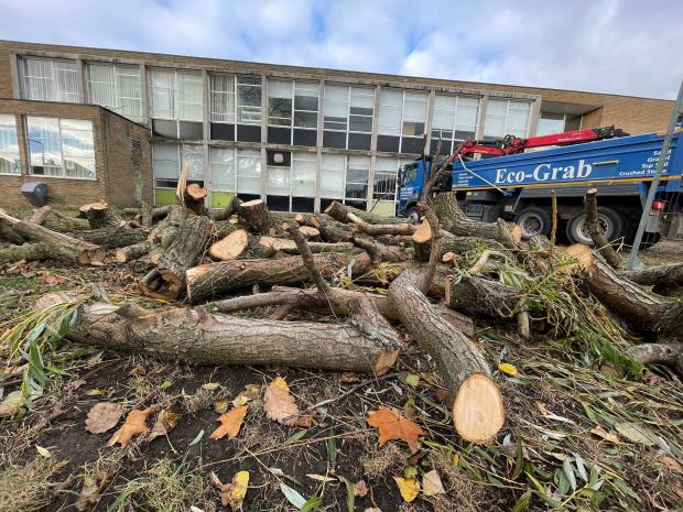 The Northern Echo: The former Northern School of Art campus on Green Lane where trees have been cut down Credit: Terry Blackburn / Teesside Live Permission for use by all LDR partners