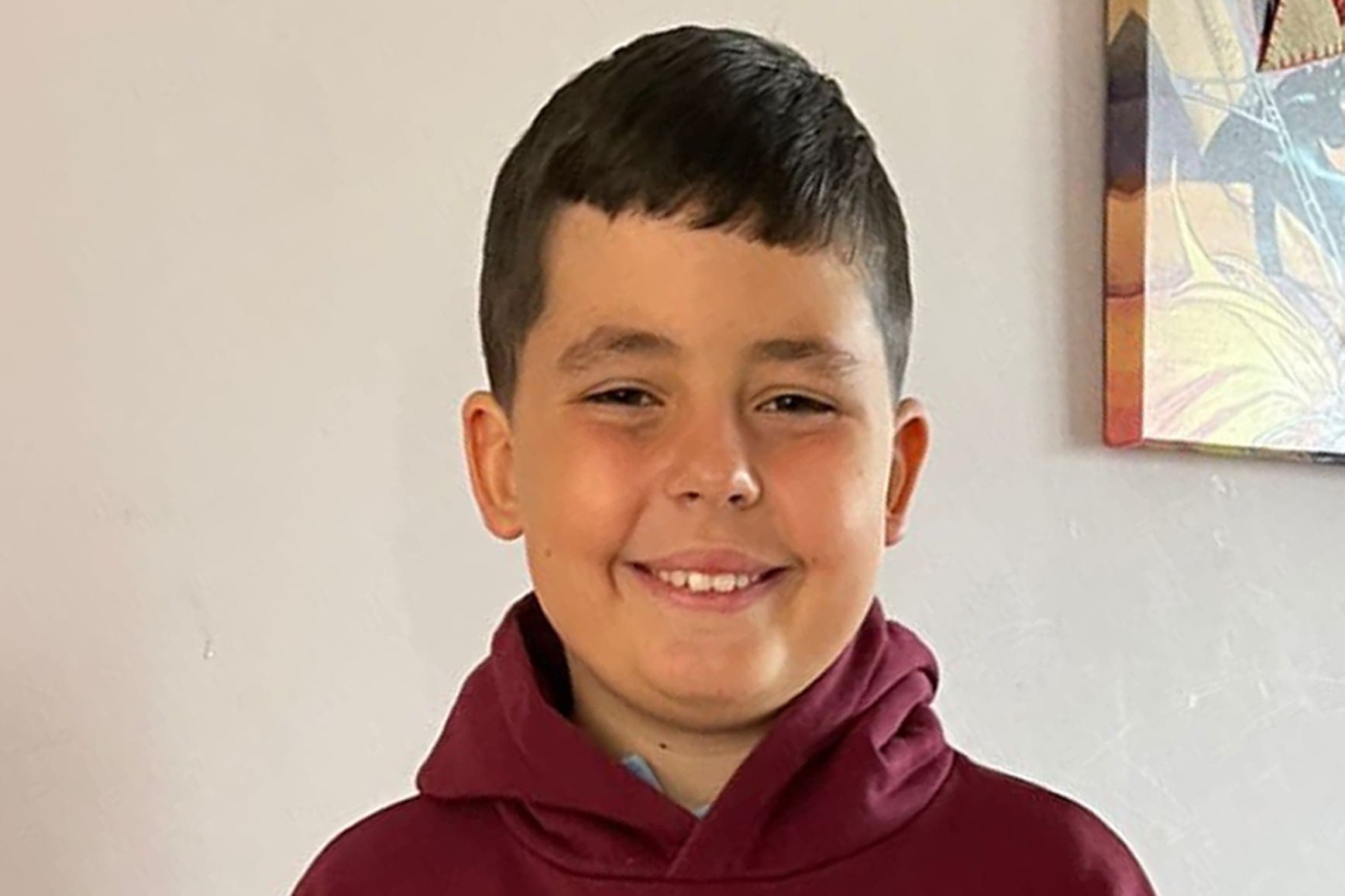 Dog that killed 10-year-old boy was not an illegal breed - Vimarsana News