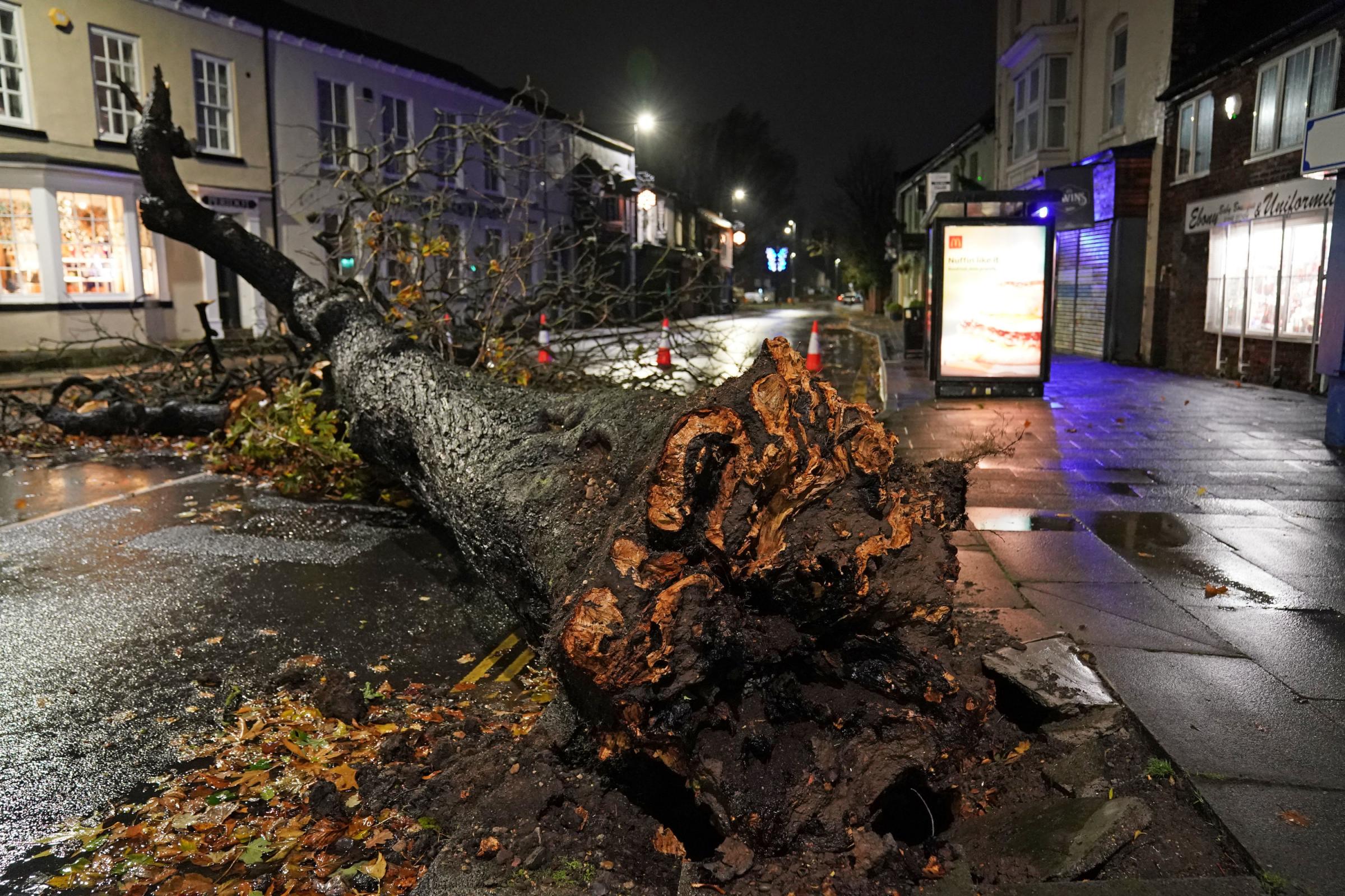 A fallen tree blocks a road in the centre of Norton village in Teeside after gusts of almost 100 miles per hour battered some areas of the UK during Storm Arwen. Picture date: Saturday November 27, 2021. PA Photo. The Met Office issued a rare red warning