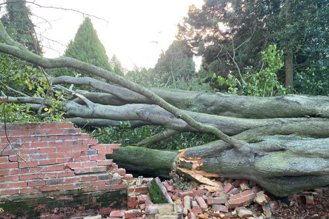 Storm Arwen resulted in a tree being brought down and crashing into the boundary wall at West Cemetery in Darlington. Picture: CLLR. JOHNSON
