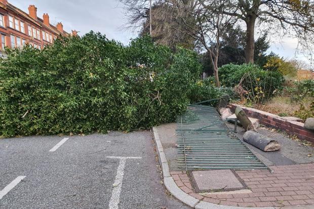 The Northern Echo: Storm Arwen left a whirlwind of damage across the region, including felling trees, knocking down walls and damaging property.