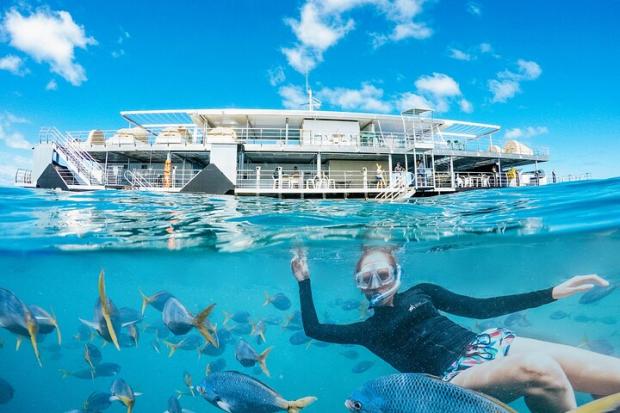 The Northern Echo: Two-Day Great Barrier Reef "Reefsleep" Experience - Airlie Beach, Australia Credit: TripAdvisor