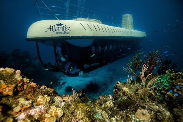 The Northern Echo:  Atlantis Submarine Expedition in Cozumel - Cozumel, Mexico. Credit: TripAdvisor