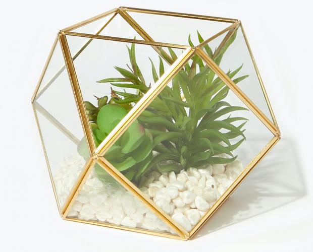 The Northern Echo: Succulents in Hexagonal Planter is available via Matalan. Picture: Matalan