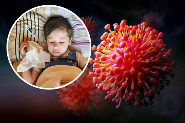 Parents warned over winter virus affecting children - full list of symptoms. (Canva)