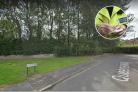 Police said a petrol bomb was thrown at a house in Queensway, Saltburn, yesterday Picture: Google maps