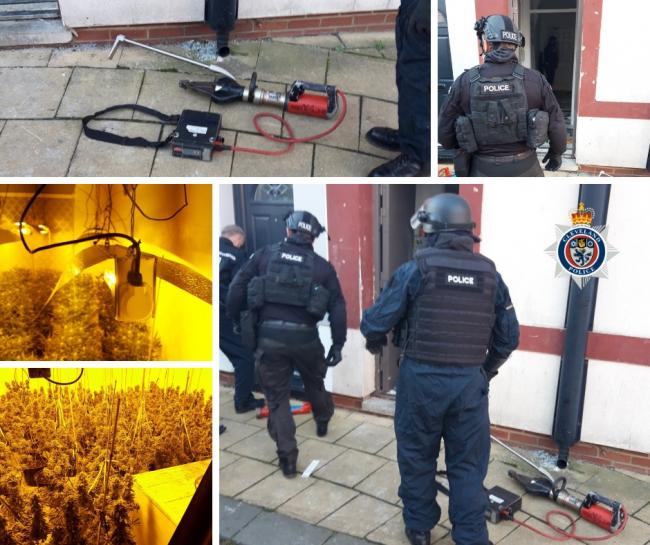 Police visited two properties in Dent Street, Hartlepool on Thursday