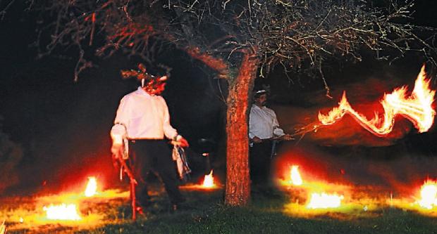 The Northern Echo: The Silurian Border Morris Men in Herefordshire light fires in orchards in January to re-enact an ancient wassailing tradition, which aims to wake the trees from their winter slumber and improve the apple crop
