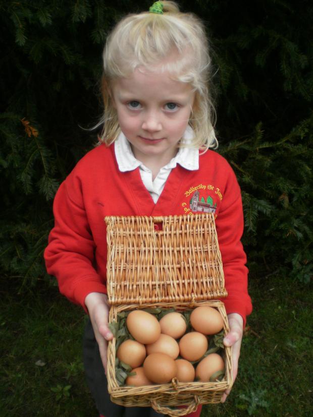 The Northern Echo: Kitty Briggs, five, who has pledged eggs from her hens for Baldersby St James CE Primary School's silent auction of promises – 14/11/2011
