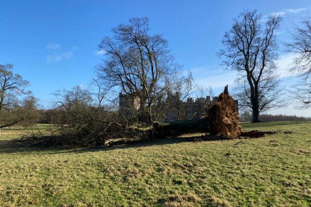 The Northern Echo: Downed trees and damaged property led to the closure of Raby Castle on Sunday and until today (January 31).  Picture: RABY'S CASTLE.