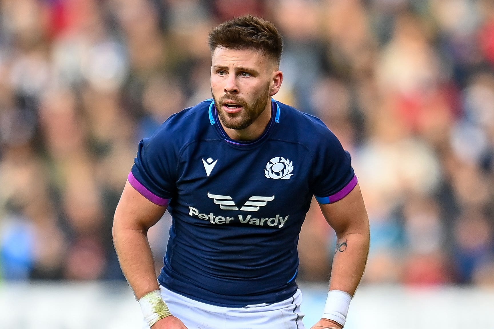 Scotland 'trying to put it all together' as they target Six Nations glory - Vimarsana News