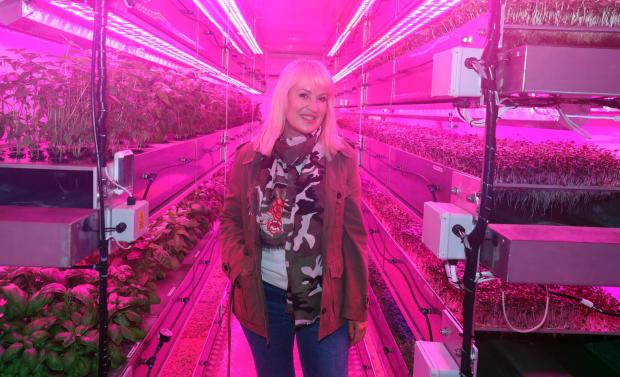 The Northern Echo: Nicki Chapman, from BBC's Escape to the Country, in the vertical farm at Heck in North Yorkshire Picture: Glen Minikin
