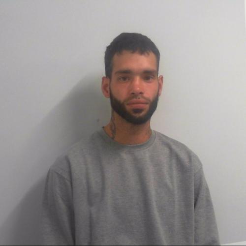 The Northern Echo: Daniel Johnson was sentenced to two years and five months’ imprisonment at York Crown Court Picture: NYP