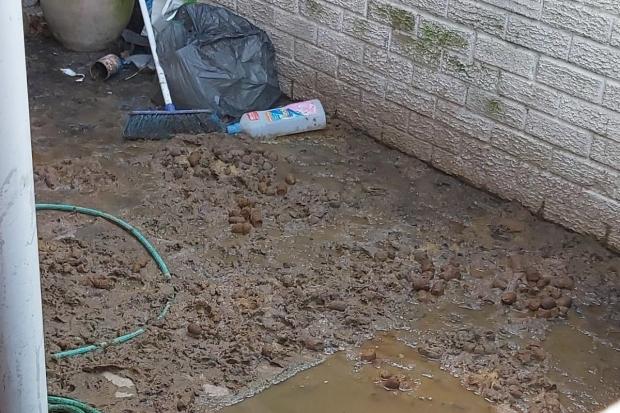 The Northern Echo: Conditions were imposed on the homeowner that targets the clean up of the waste. Picture: DURHAM COUNTY COUNCIL. 