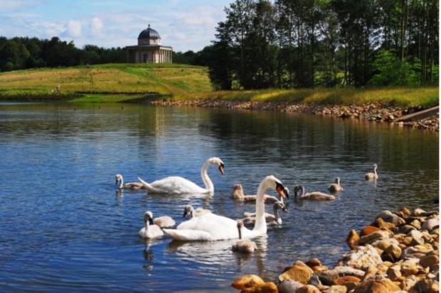 The Northern Echo: Hardwick Park. Picture: NORTHERN ECHO.