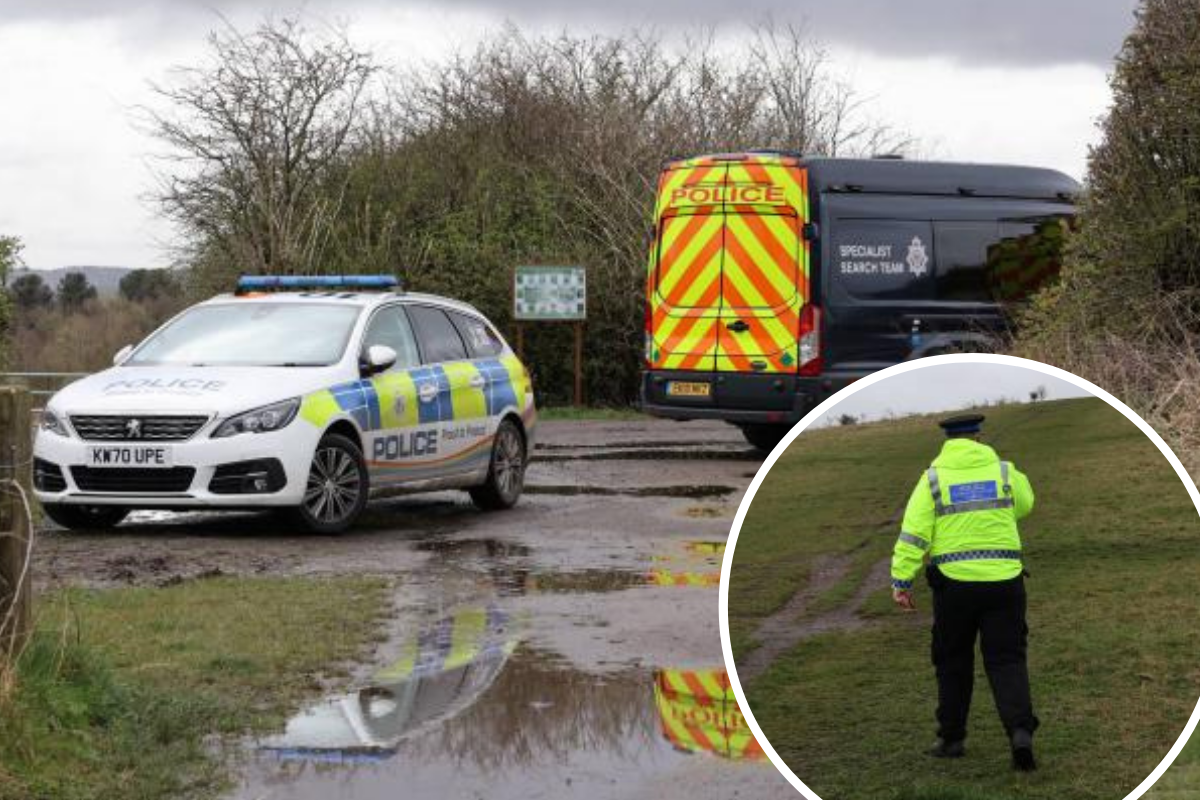 Man arrested after alleged rape in Rising Sun Country Park