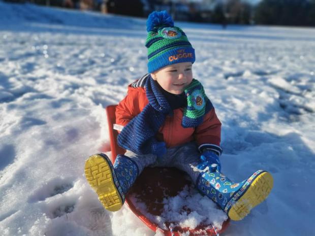 The Northern Echo: Archie with his plastic sledge Picture: RACHEL SWEENEY