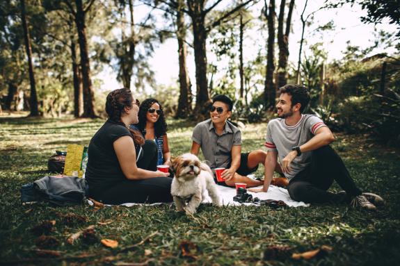 The Northern Echo: A group of people and a dog enjoy a picnic in the woods. Credit: Canva The Northern Echo: A group of people and a dog enjoy a picnic in the woods. Credit: Canva