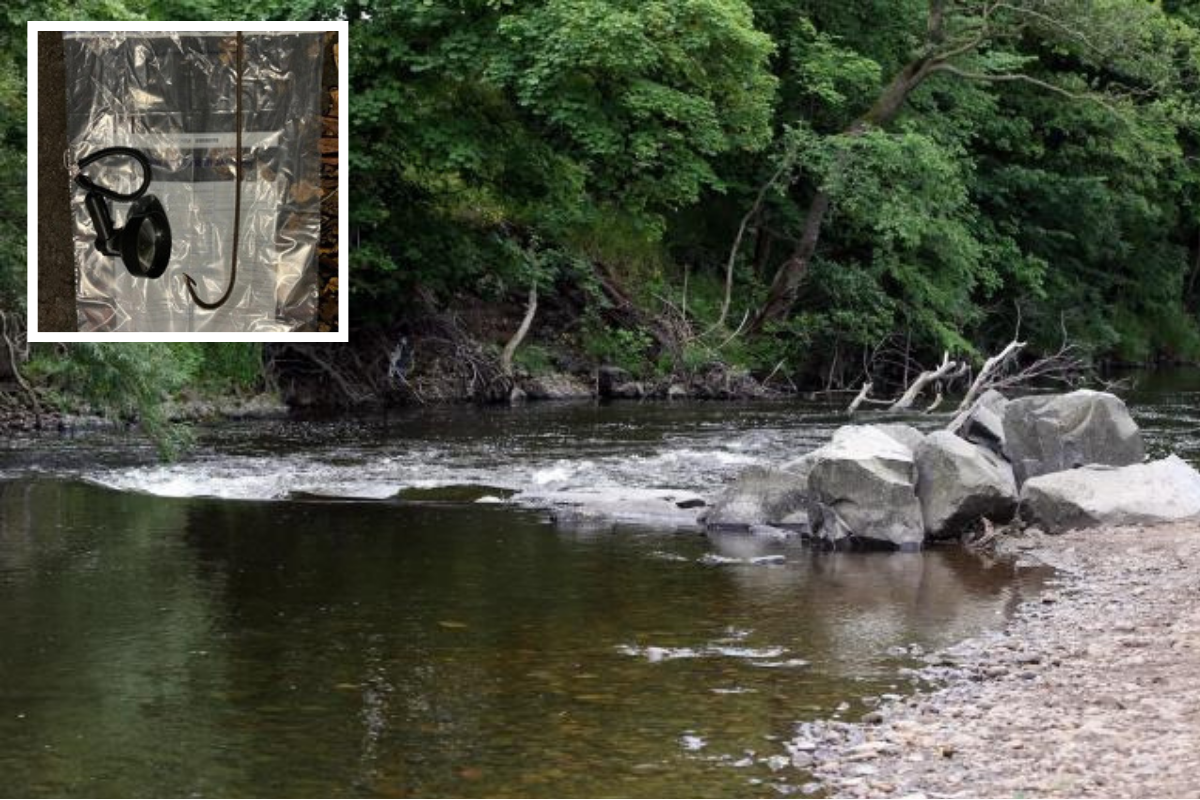 County Durham man fined for killing fish with spear in River Wear - Vimarsana News