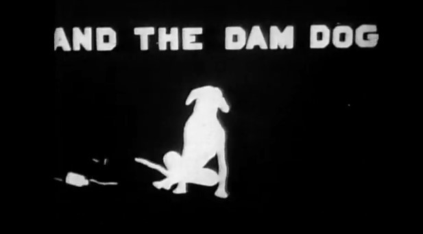 Meet the whole Dam family... - Vimarsana News