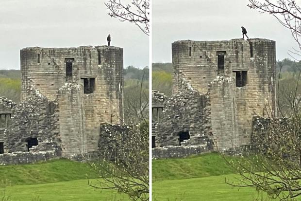 A youth on top of Barnard Castle's tower captured by