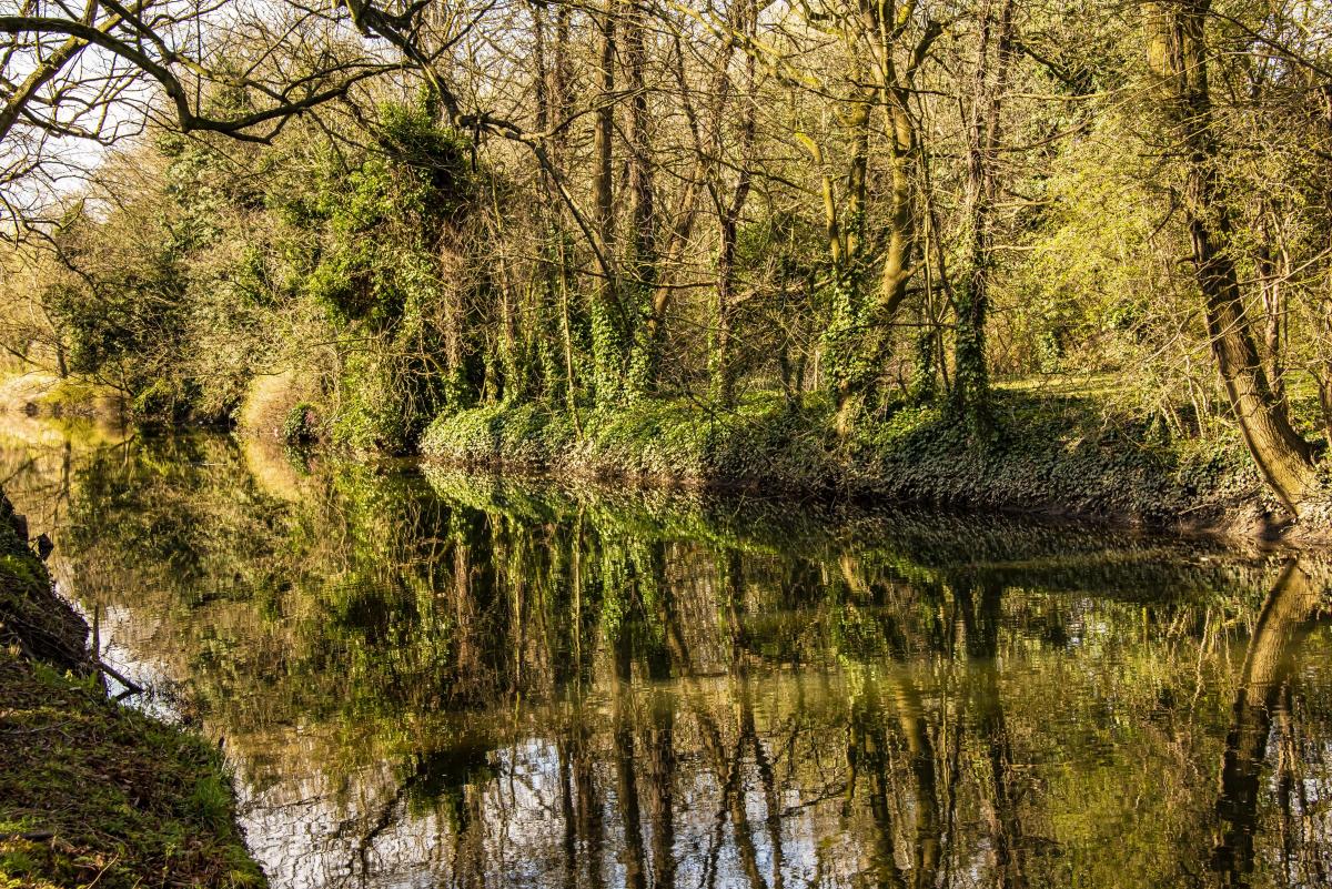 Tranquil Reflection River Skerne at South Park. Photo by Murray McLaren.