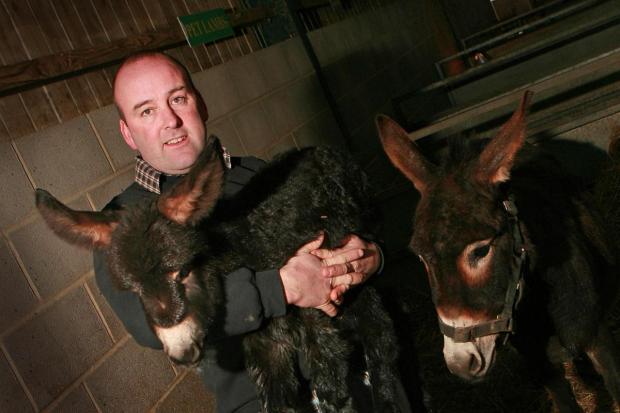 Mark Hebdon, pictured in 2009, at Monk Park Farm petting visitor centre, near Thirsk. Picture: THE NORTHERN ECHO