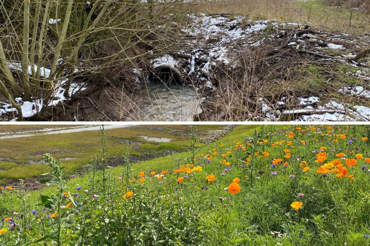 A three-year project has transformed the River Wiske near Northallerton