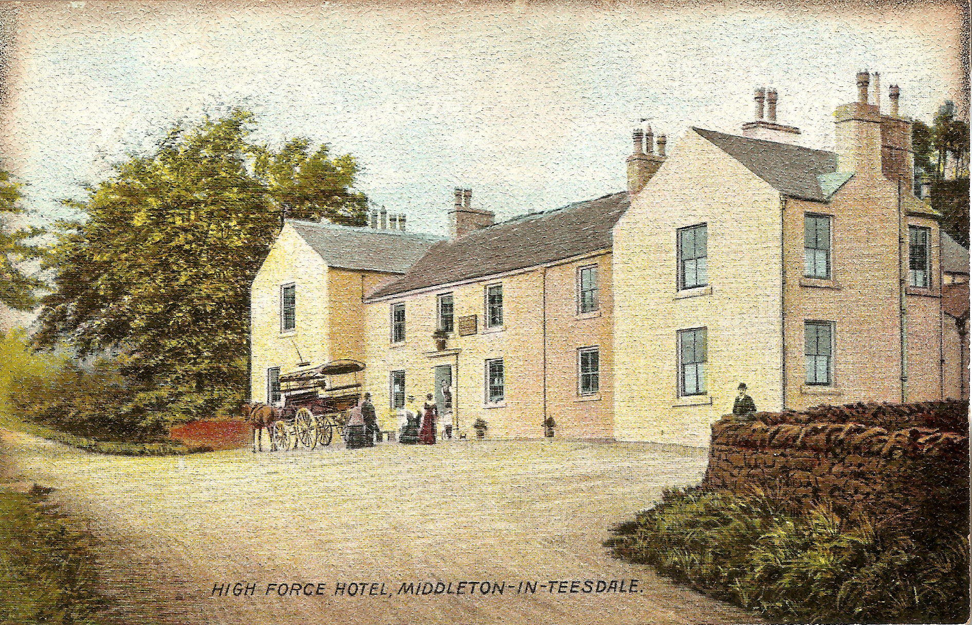130th anniversary of the Darlington & Teesdale Naturalists' Field Club - Vimarsana News
