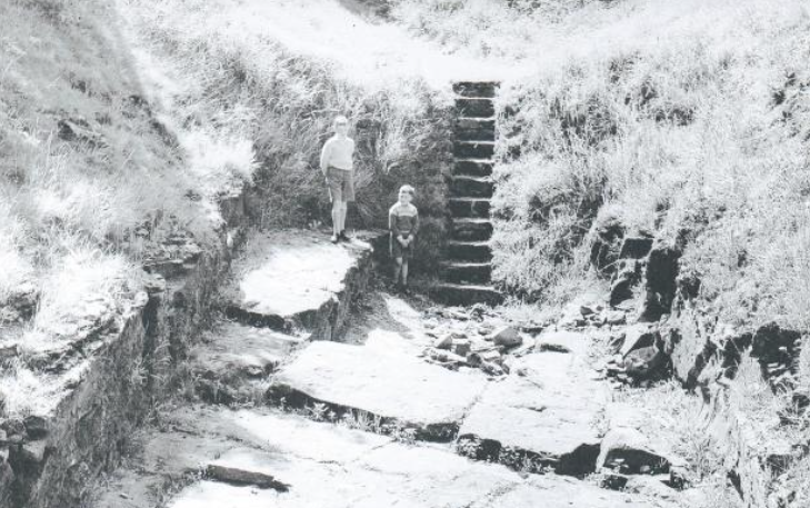 The mysterious ancient earthwork that can be traced across County Durham - Vimarsana News