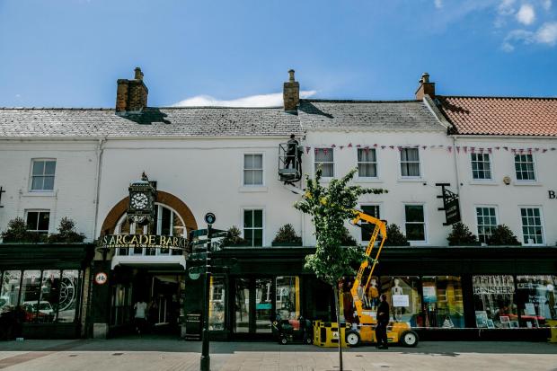 The Northern Echo: The tree outside Barker's in Northallerton Picture: SARAH CALDECOTT