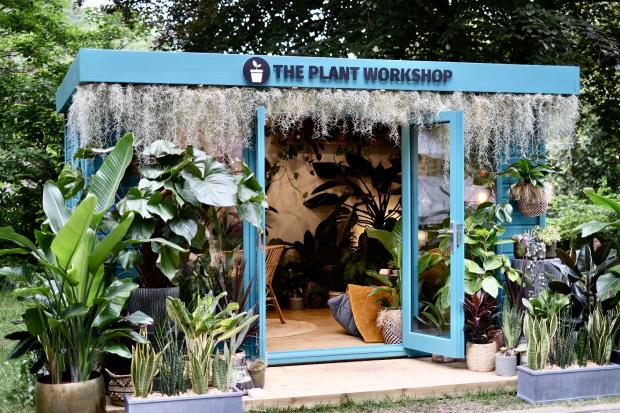 The Plant Workshop's exhibit at Chelsea Flower Show